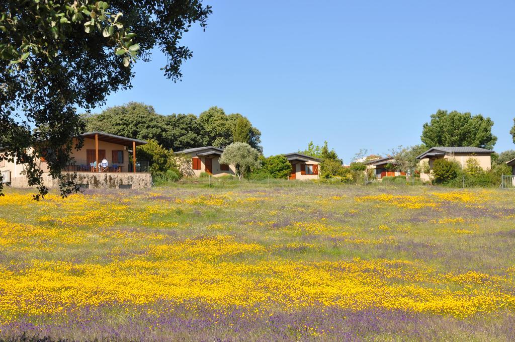 Pensjonat La Cerca Del Alcornoque Casas de Belvis Zewnętrze zdjęcie